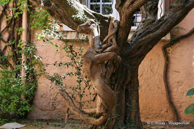 Saint-Tropez, root animal, tree sculpture, Provence, France