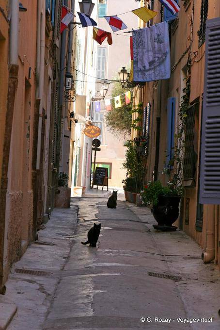 Saint-Tropez, black cats alley, Provence, France