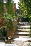 Bormes-les-Mimosas, Heritage of the 12th century, France.
