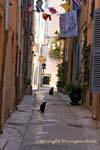 Saint-Tropez, black cats alley, France.