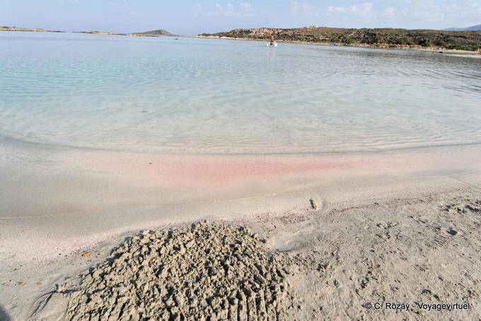The island deer, Elafonissi - Crete, Greece