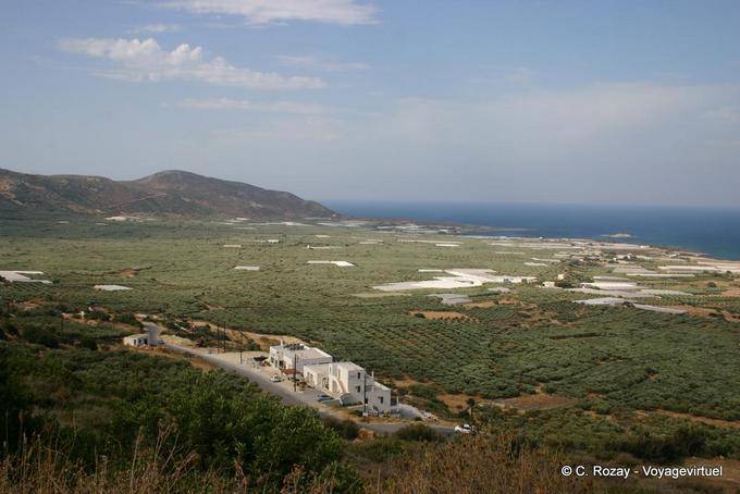 Crops in the plain of Falasarna - Crete, Greece