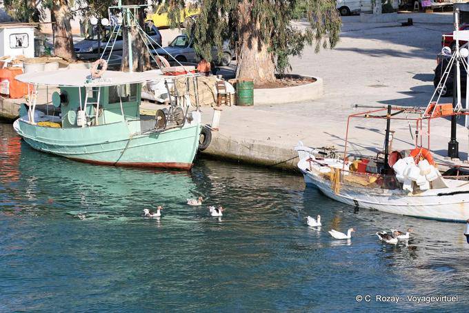 Ducks on the canal, Georgioupoli - Crete, Greece