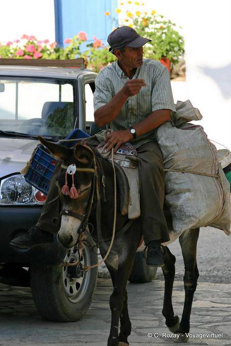 Farmer on local transport, Oropedio Lassithiou - Crete, Greece