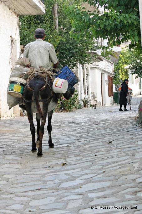 Daily life in a village street, Oropedio Lassithiou - Crete, Greece