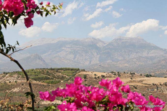 The White Mountains and White Mountains behind the bougainvillea, Phaistos - Crete, Greece