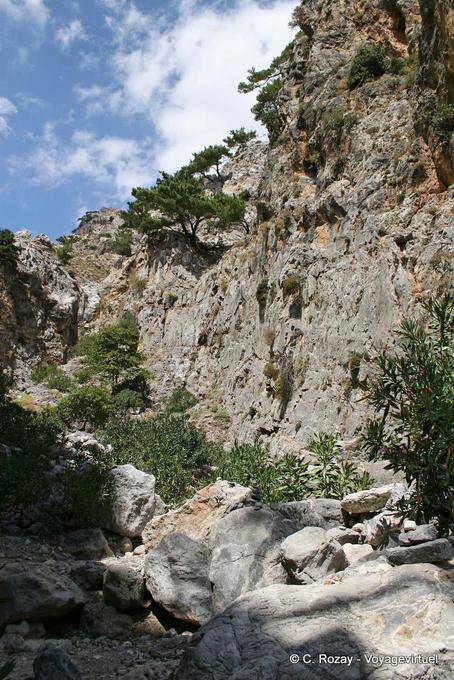 Zaros, walk in the bed of the gorge - Crete, Greece