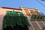 Balcony with drooping ferns Chania, Crete.