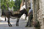 The man and his donkey Farsaro, Crete.