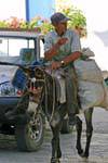Farmer on local transport, Oropedio Lassithiou, Crete.