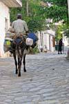 Daily life in a village street, Oropedio Lassithiou, Crete.