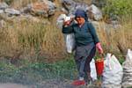 Woman carrying potatoes at harvest, Lassithi Plateau, Crete.