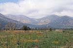 Landscape towards Kato Metochi, Lassithi, Crete.
