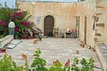 The court cats, Toplou, Crete.