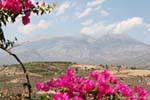 The White Mountains and White Mountains behind the bougainvillea, Phaistos, Crete.