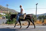 Khaki Rodakino, Cretan on his ass in the mountains, Crete.