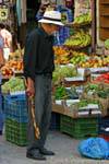 Cretan cane in front of a fruit and vegetable stall, Rethymnon, Crete.