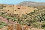 Magical landscape of the hills next to Kato Zakros, Crete.