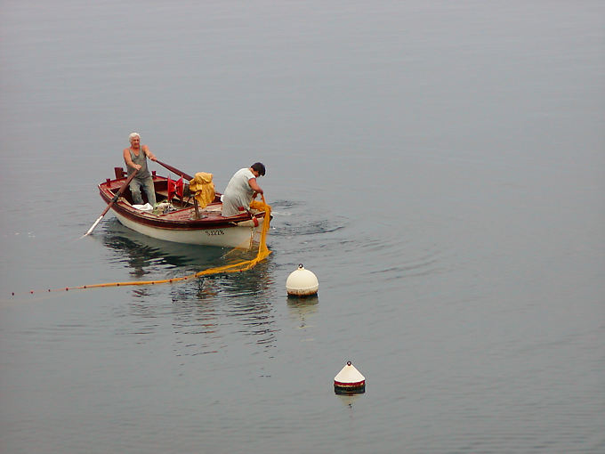 Morning fishing, Starigrad, Croatia