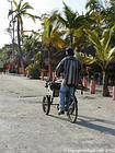 Tricycle and sugarcane on the beach, Boca Chica, Dominican Rep..