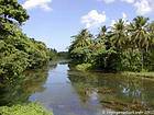 Jungle river, Dominican Rep..