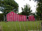 Case pink church in the center, Dominican Rep..