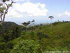 Hilly landscape on the road to El Seibo, Dominican Rep..