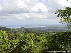 Loaves tops, overlooking the Atlantic coast, El Seibo, Dominican Rep..