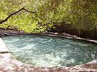 Natural swimming pool Azufrada with fresh water and sulfur, Enriquillo, Dominican Rep..