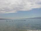 Panorama of the largest nature reserve that is the salt lake Enriquillo, Dominican Rep..