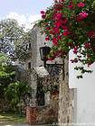 Flowered alley in the colonial quarter of Santo Domingo, Dominican Rep..