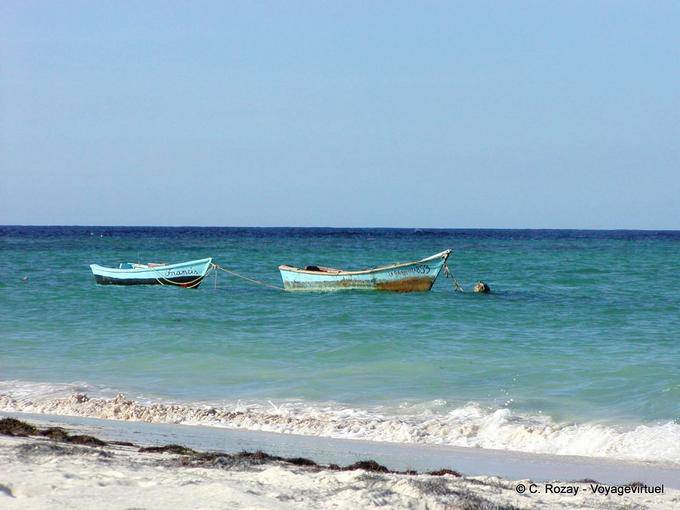 Francis boats and Gabiota, Bavaro, Dominican Rep.