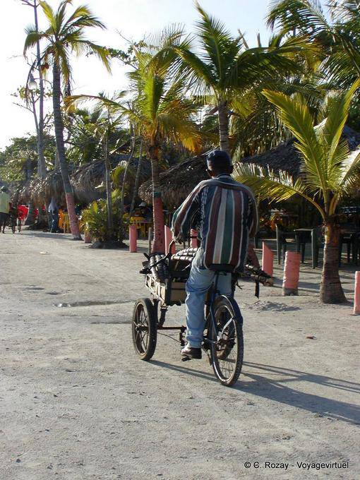 Tricycle and sugarcane on the beach, Boca Chica, Dominican Rep.