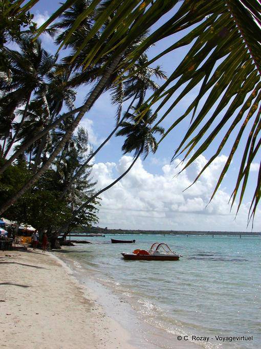 Pedalo, Boca Chica, Dominican Rep.