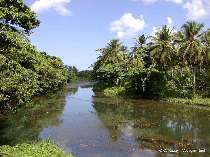 Jungle river, Dominican Rep.