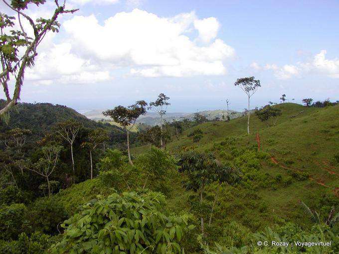 Hilly landscape on the road to El Seibo, Dominican Rep.