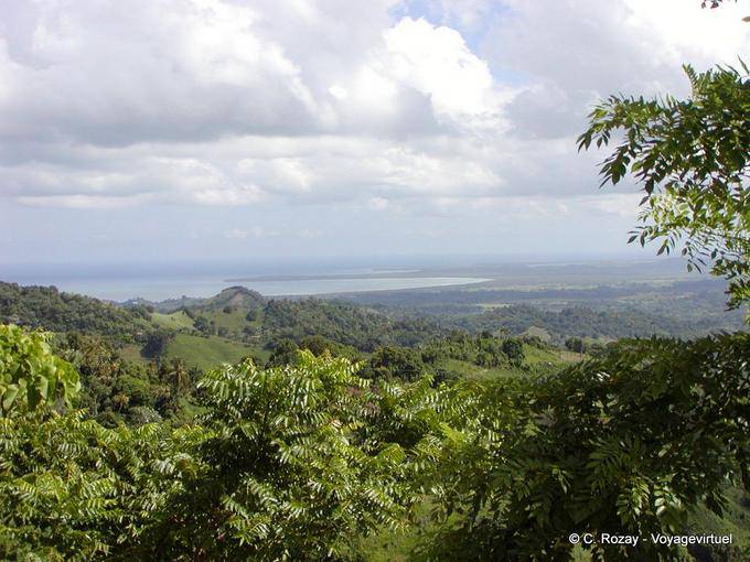Loaves tops, overlooking the Atlantic coast, El Seibo, Dominican Rep.