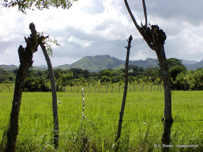 Interior between Loaves and Hato Mayor, Dominican Rep.