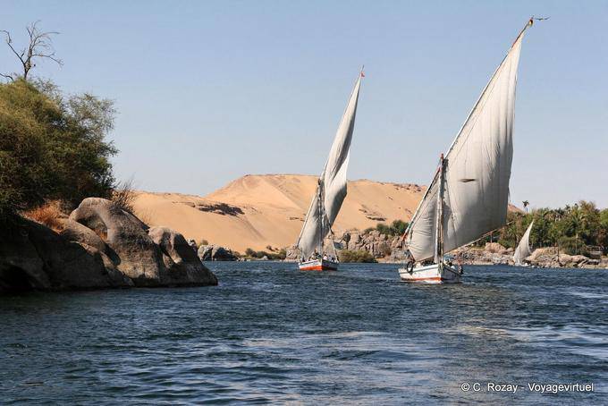 Between two islands, feluccas race, Aswan - Egypt