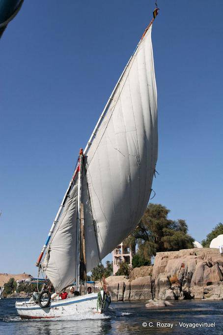 Felucca sailing trapeze billowing, Aswan - Egypt