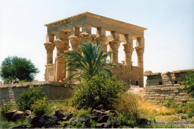 Palm before the lavish booth Trajan, Philae - Egypt