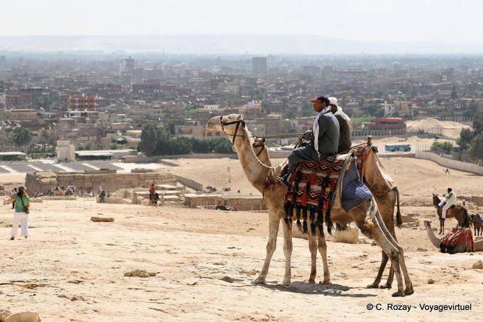 Camel in front of a panorama of Cairo - Egypt