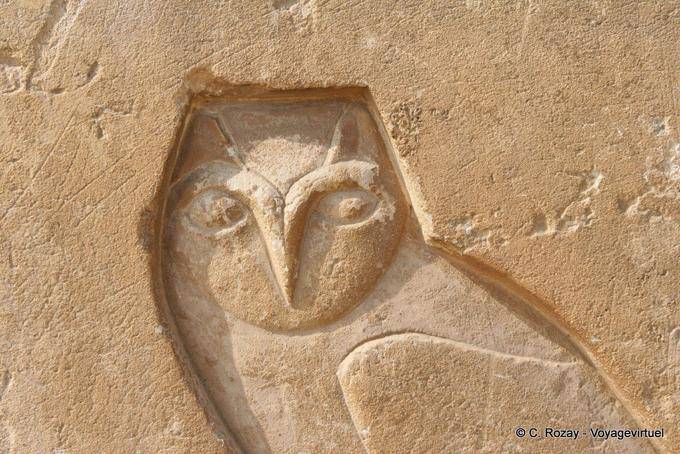 Owl carved, symbol of wisdom, Saqqara - Egypt