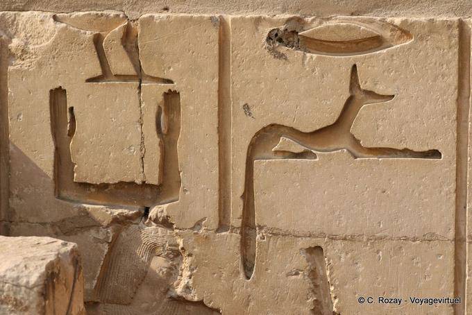 Reliefs on the wall of the funerary complex, Saqqara - Egypt