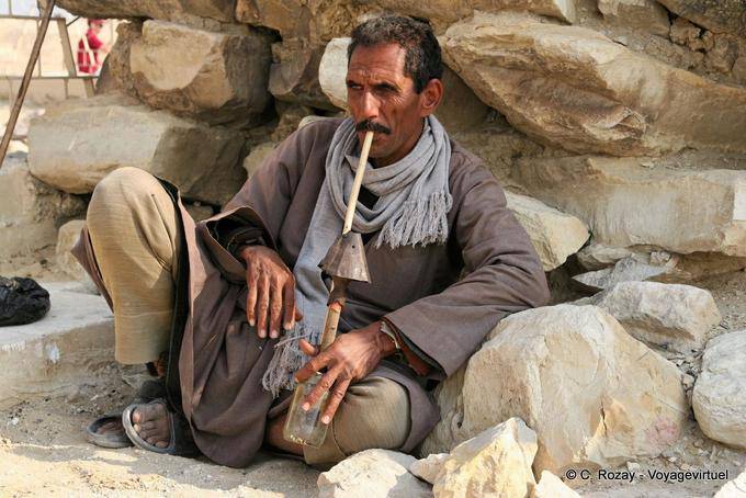 Camel with a homemade pipe, Saqqara - Egypt