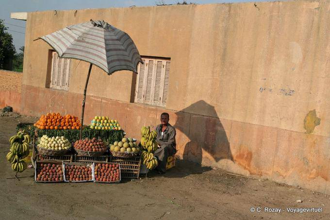 Small fruit market on the edge of the road, Saqqara, Cairo - Egypt