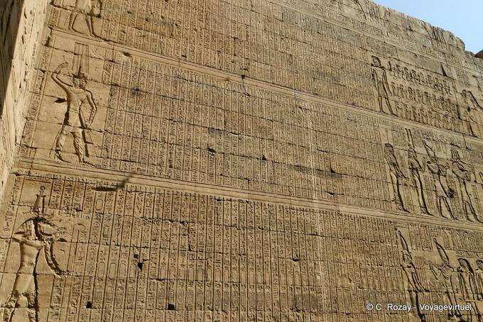 Forest hieroglyphics on the wall, temple of Edfu - Egypt