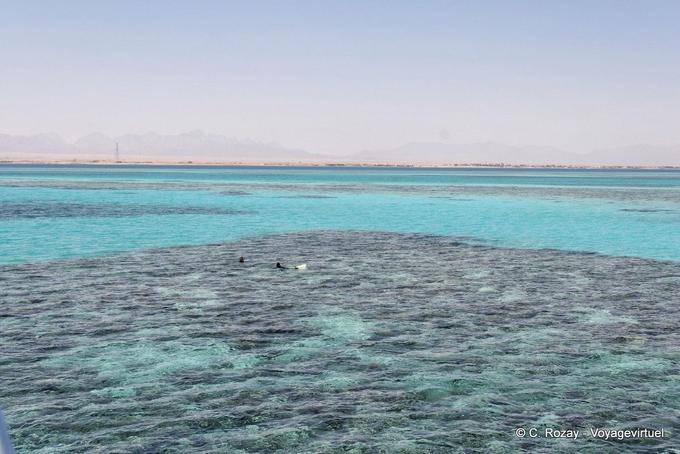 Colors of the Red Sea, Hurghada - Egypt