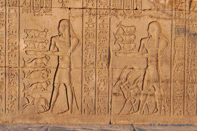 Gazelles representation and cattle offered, Kom Ombo Temple - Egypt