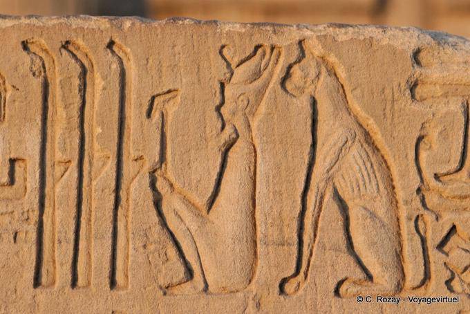 Stilts and god Bastet cat sitting behind the king, relief, temple of Kom Ombo - Egypt